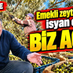 haber-gorseli-1791848435082